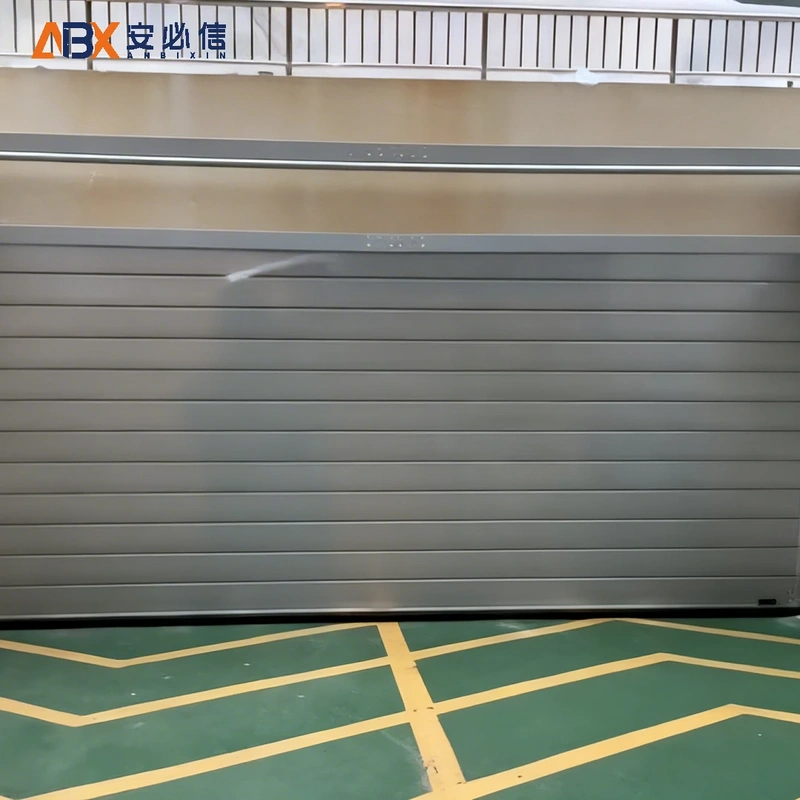 南阳市感应高速门